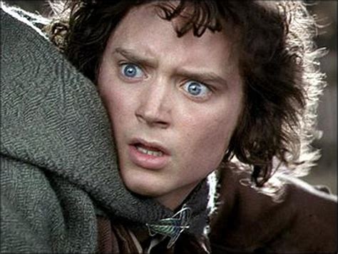 who played frodo.